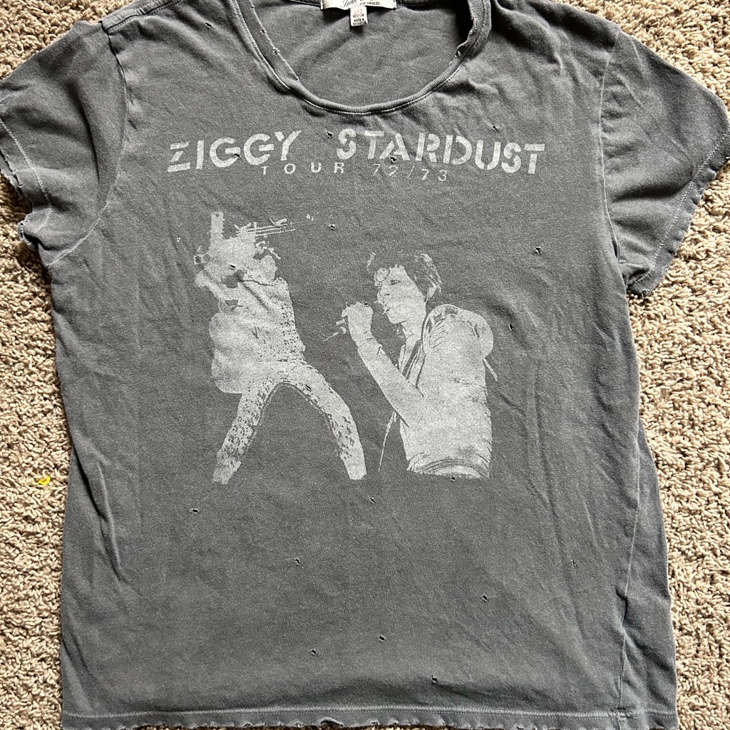 Junk Food- David Bowie Ziggy Stardust Tour 72/73 Shirt